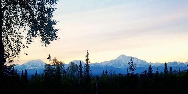 Grace And Bill'S Freedom Hills B&B Talkeetna Exterior photo