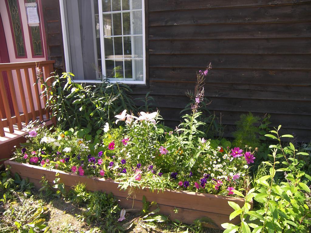 Grace And Bill'S Freedom Hills B&B Talkeetna Exterior photo