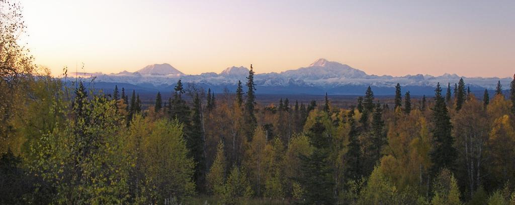 Grace And Bill'S Freedom Hills B&B Talkeetna Exterior photo