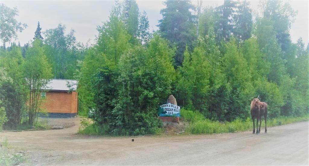 Grace And Bill'S Freedom Hills B&B Talkeetna Exterior photo